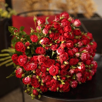 Story Teller "♥️"