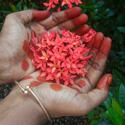 Meera k LathaMuthu ".___meera__k__lathamuthu___."