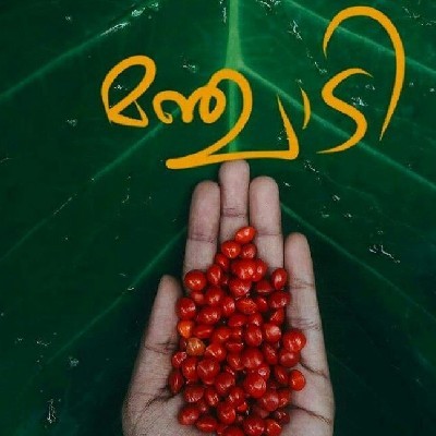 മഞ്ചാടി