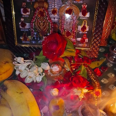 Hema Kareti "Gayatri lakshya"