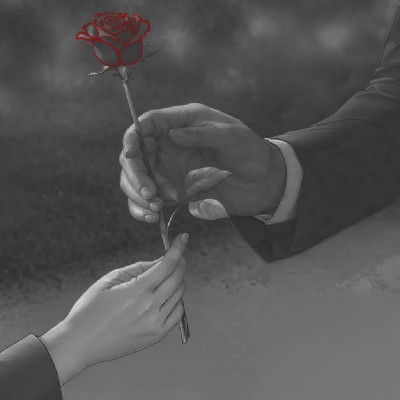 Radhika Sharma "❤"