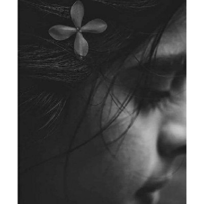 ചാന്ദ്നി "നിലാവിന്റെ ചങ്ങാതി"