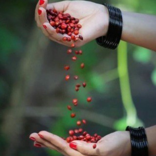 ❣️ ആവണി ❣️