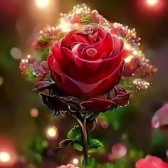 🌹❤️...DEEPIKA...❤️🌹