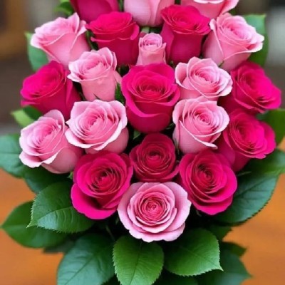 ⭐ 𝑹𝒐𝒉𝒊𝒏𝒊 𝑺⭐