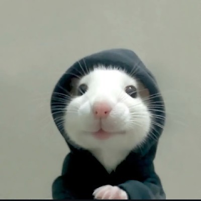 Prachi Rana "Kanchi🥀💖"