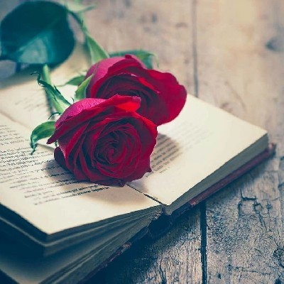 ᕲᖇᘿᗩᘻ ᑢᗩᖶᑢᕼᘿᖇ🥀 "𝕋𝕙𝕠𝕠𝕝𝕚𝕜𝕒"