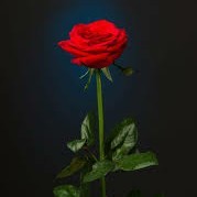 Lakshmi Ganesan "லெஷ்சுமி கணேசன்"