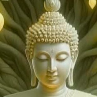 જ્યોતિ ચાવડા "જ્યોત🔥"