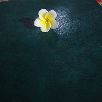 অজানা 🦋