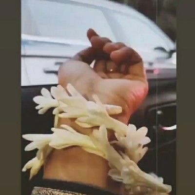 দুষ্টু পাখি