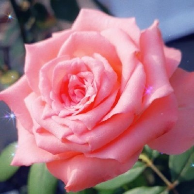 Beulah🦋 P®!¥@🦋 "సాచి...🦋🦋🦋💓💗"