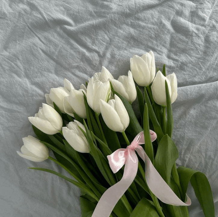 Fathima Inshifa "Inshyy"