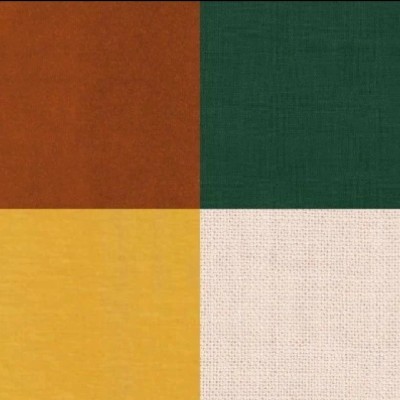 Saiee "मेटल माईंड"