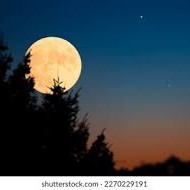 💕മഴ നിലാവ്💕