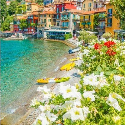 अंशिका राय "अंशिका"