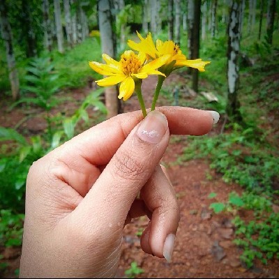 ಜ್ಯೋತಿ ನಾಯ್ಕ