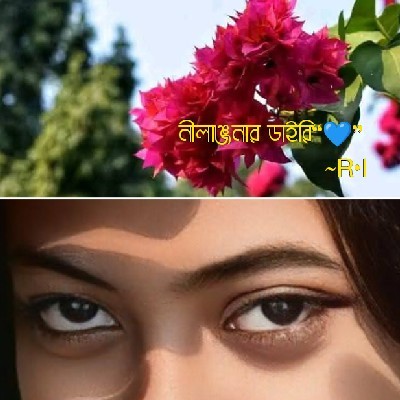 ❝নীলাঞ্জনার ডাইরি❞/ রিয়া "💙"