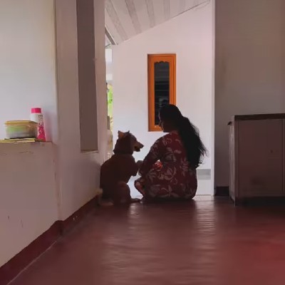 ಶಿಲ್ಪಾ ಎಸ್.ಪಿ "ಶಿಲ್ಪಾ ಎಸ್ ಪಿ"