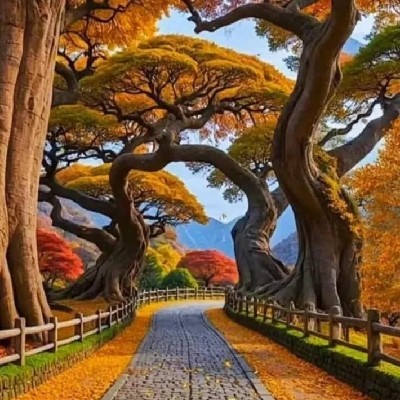 தனலட்சுமி ஞானசேகரன் "தமிழ் வாசகி"