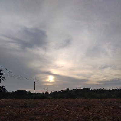 ಕನವರಿಕೆ🥰 ಕಲ್ಪನೆ🥰 "ಗುಬ್ಬಿ🥰"