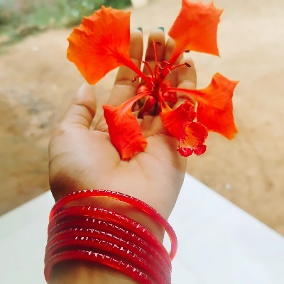 Sukanya Narayanan