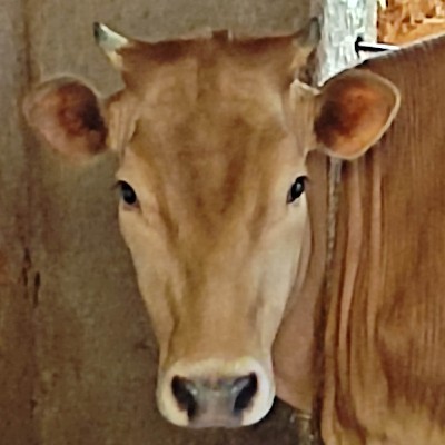 ಶ್ರೀರಕ್ಷಾ ಭಟ್ಟ