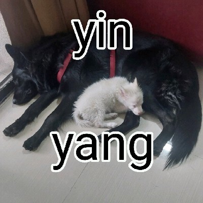 शब्द सरिता