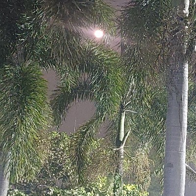 शब्द सरिता