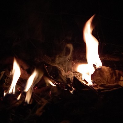 আরু দস্তিদার "সাইকো"