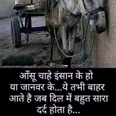Aman Rathore