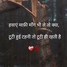 कृति राजपूत "SiYa🚩"