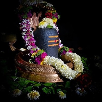कृति राजपूत "SiYa🚩"