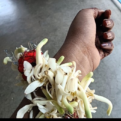 সানিয়া (S.K.S)