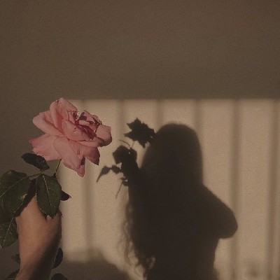 YAVI🍁 "Unfolded Whispers"
