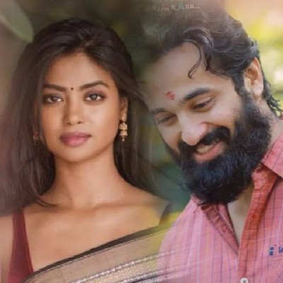 ആമി
