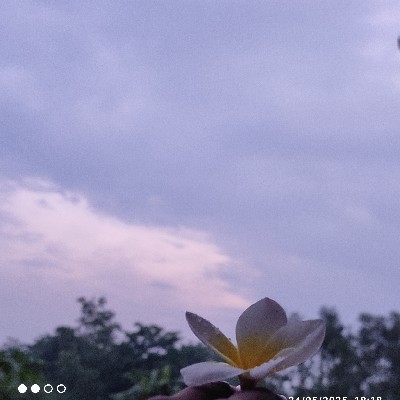 মন খেয়াল "কুহু"