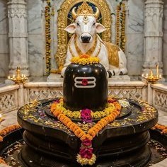 ఏంజెల్ ఆరాధ్య "అక్షర సిరి"