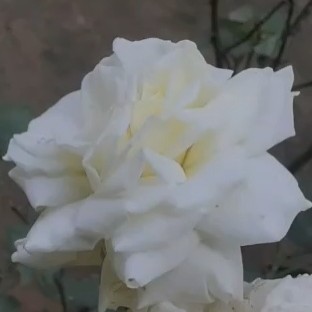 সীমা হীন আকাশ