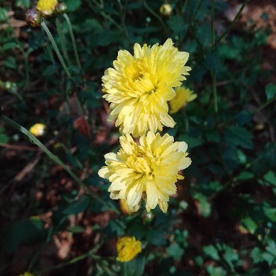 Jesus Jesus "Jesus jesus (പഃ ആത്മാവിന്‍ ആത്മകഥ )♥♥"