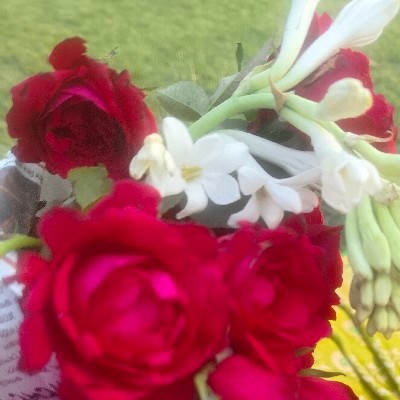 Konika Yasmin "মানালি"