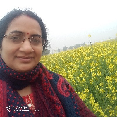 Hema Sarangi