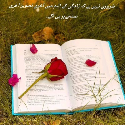 ایــفــ｡کـے