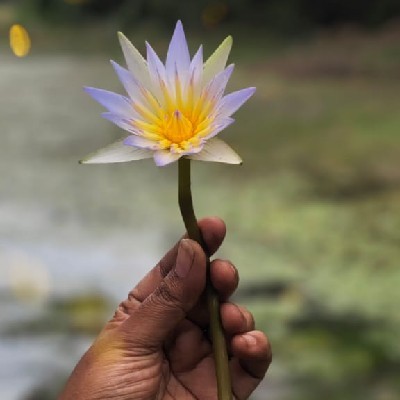 அன்பிழை Anbhizhai