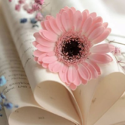 ~🪄♡ মিষ্টি পাখি ❁🪄 "✿⁠ স্বপ্ন কলম ✒"