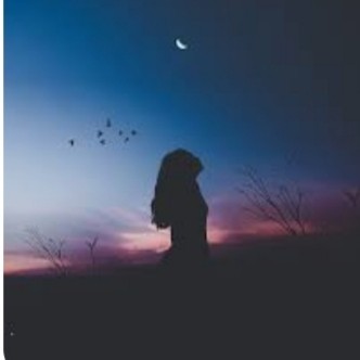 airina Khatun "শিখান পাখি"