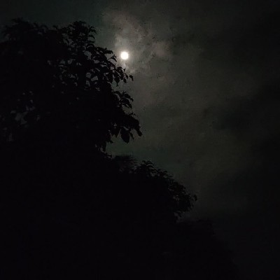 ~ জোৎস্না💫