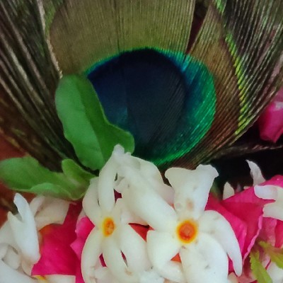ଶ୍ରୀ