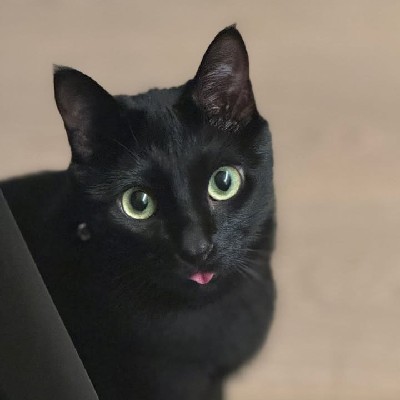 Taekookjinjhopermjiminsuga