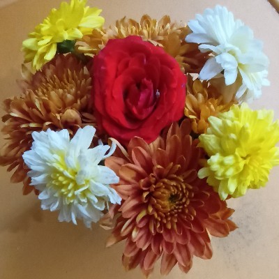 G. కాత్యాయిని "కాచి"